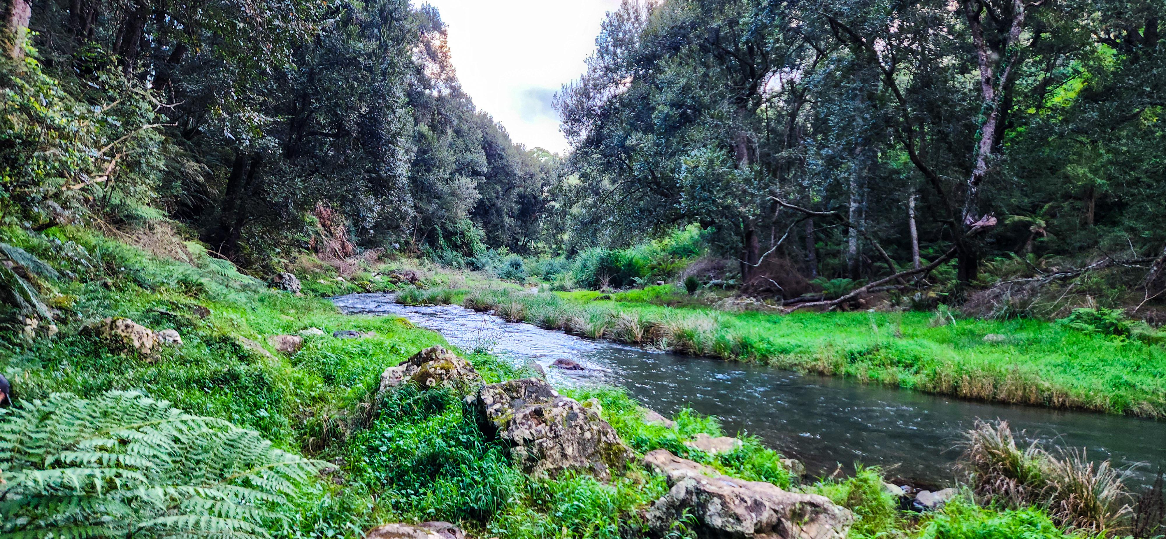 Bielsdown River